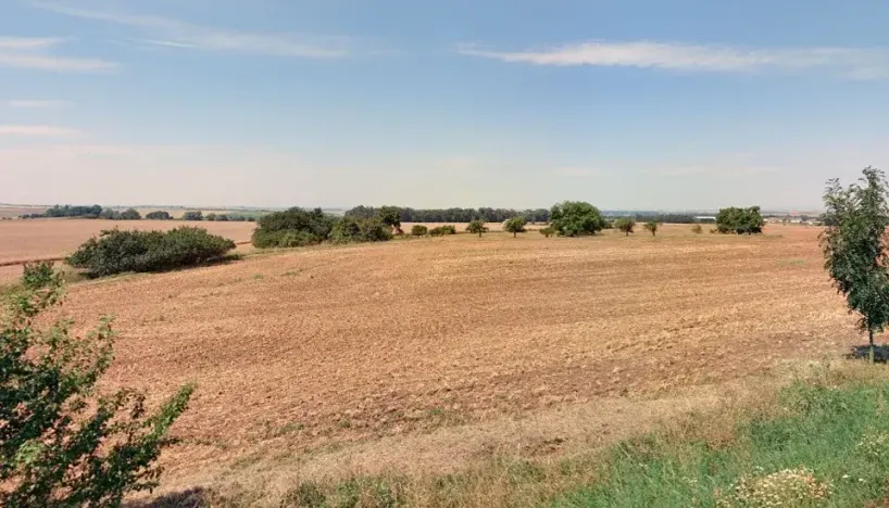 Prodej pole, Velvary, 2970 m2