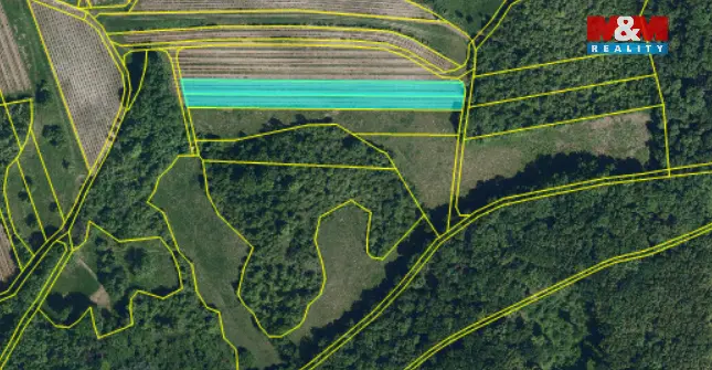 Prodej pole, Horní Věstonice, 4000 m2