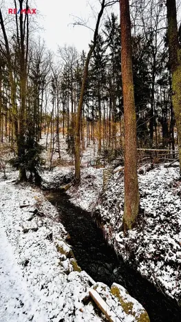 Prodej chaty, Jílové u Prahy, 40 m2