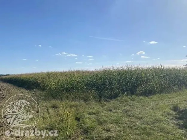 Dražba pole, Oseček, 83999 m2