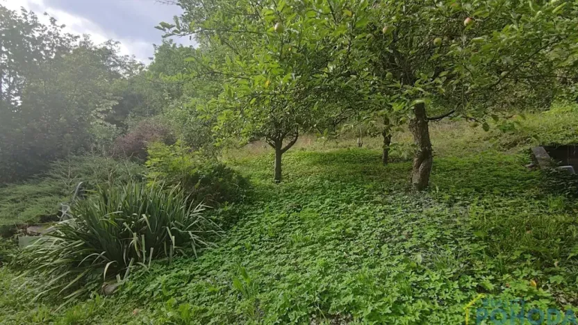 Prodej pozemku pro bydlení, Vysoké Mýto, Vinice, 1447 m2