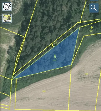 Prodej lesa, Blížejov - Lštění, 1122 m2