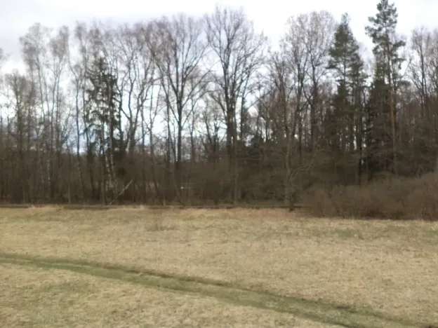 Prodej pozemku, Chlum u Třeboně - Lutová, 6727 m2