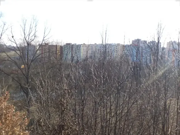 Dražba louky, Tábor, 1007 m2