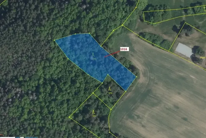 Dražba lesa, Náměšť nad Oslavou, 2458 m2