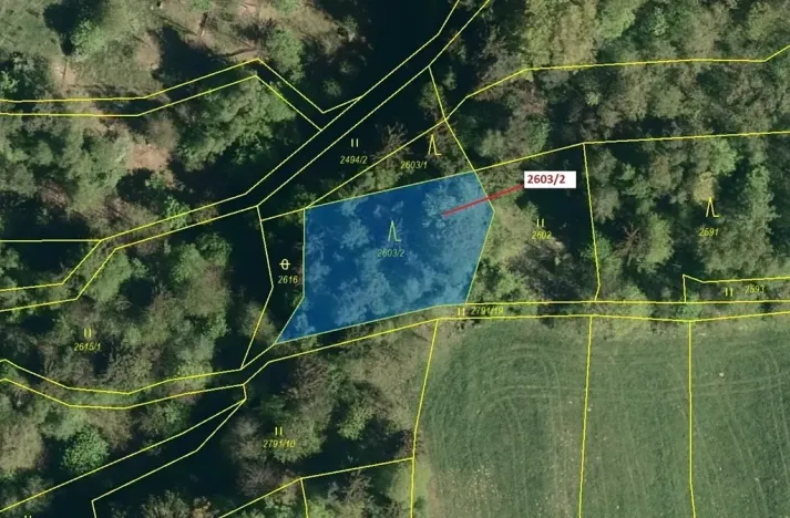 Dražba lesa, Zděchov, 1036 m2