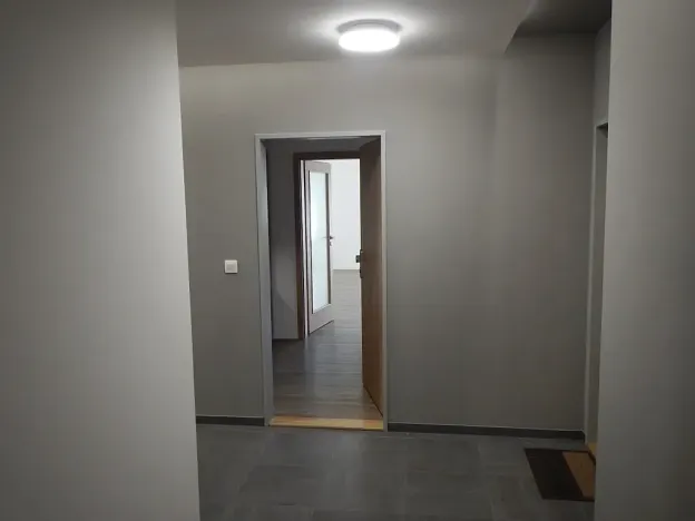 Prodej bytu 1+kk, Hranice, Pod Nemocnicí, 36 m2