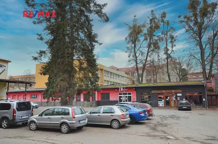 Pronájem obchodního prostoru, Frýdek-Místek, Třebízského, 180 m2