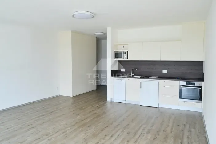 Pronájem bytu 1+kk, Plzeň, Na Roudné, 50 m2