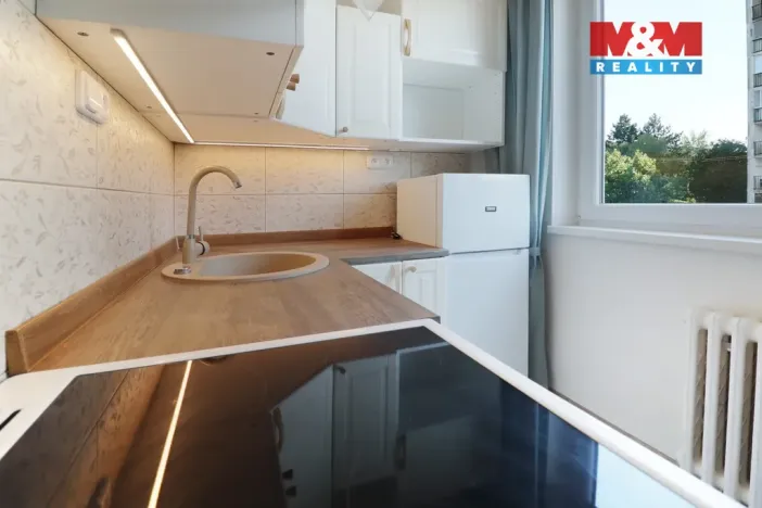 Pronájem bytu 1+1, Ústí nad Labem, Šrámkova, 34 m2