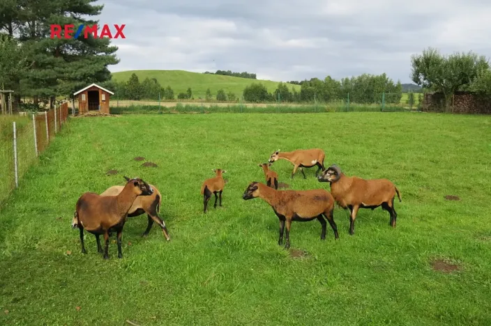 Prodej chalupy, Stará Červená Voda, 130 m2