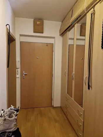 Prodej bytu 1+kk, Brno, Blažovická, 41 m2