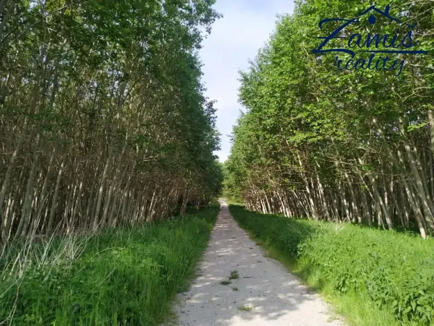 Prodej sadu/vinice, Kačice, K zahradě, 43712 m2