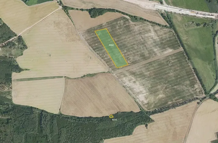 Prodej pole, Nesuchyně, 14222 m2