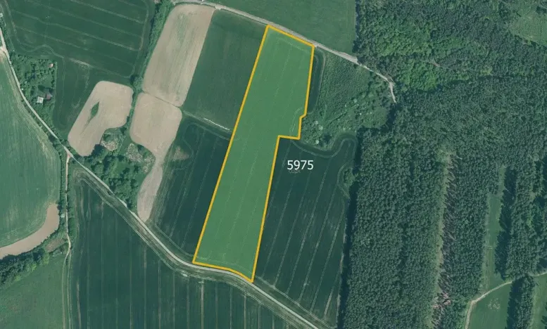 Prodej pole, Slabčice, 77267 m2