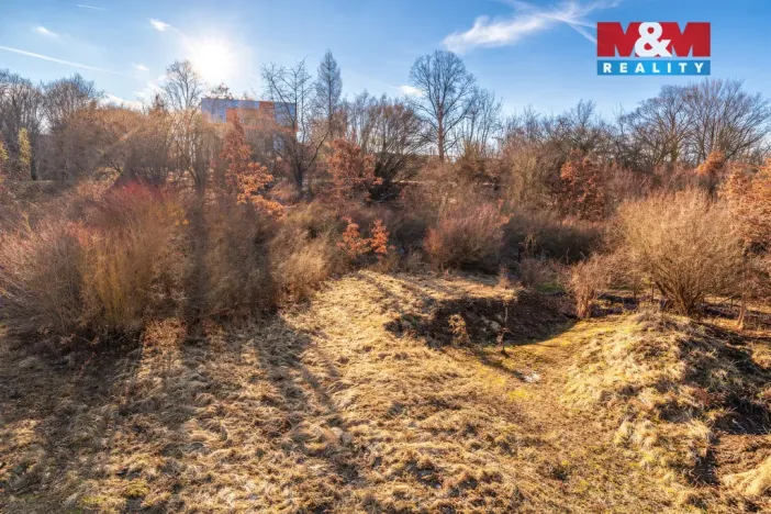 Prodej zahrady, Mrzky, 669 m2