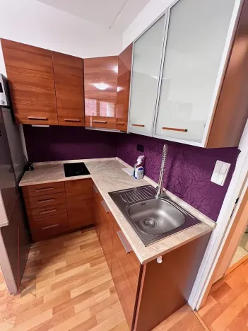 Pronájem bytu 1+kk, Olomouc, Kavaleristů, 32 m2