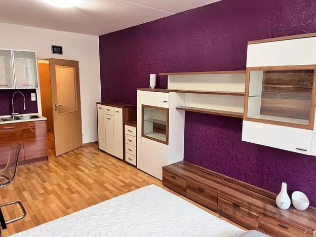 Pronájem bytu 1+kk, Olomouc, Kavaleristů, 32 m2
