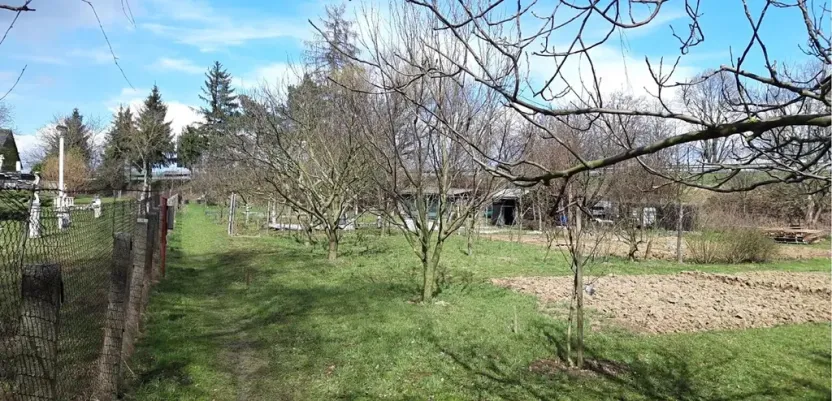 Prodej zahrady, Mohelnice, 391 m2