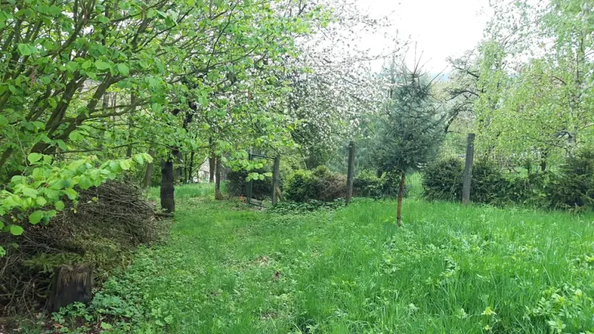 Prodej zahrady, Rohle, 1514 m2