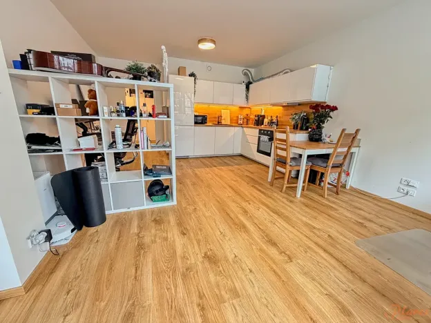 Pronájem bytu 2+kk, Praha - Holešovice, Jankovcova, 79 m2