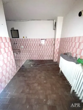 Prodej rodinného domu, Pitín, 341 m2