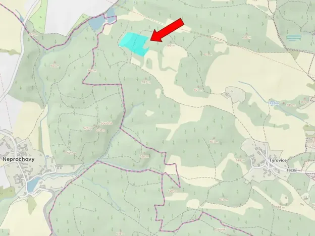 Prodej lesa, Pačejov, 15990 m2