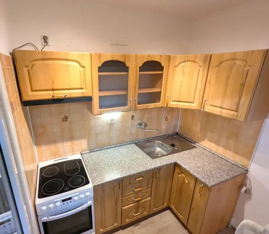 Pronájem bytu 1+1, Bílina, Alšova, 27 m2