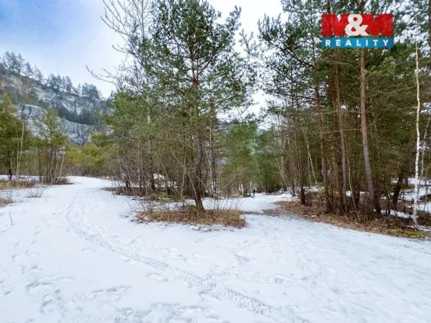 Prodej lesa, Rabí, 28273 m2