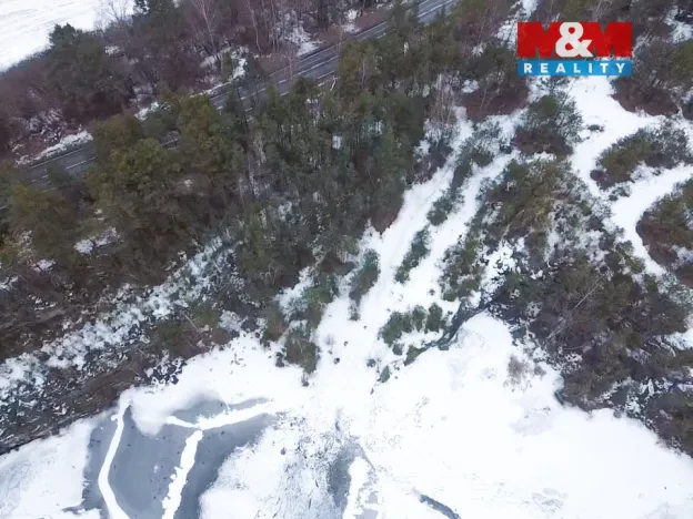 Prodej lesa, Rabí, 28273 m2