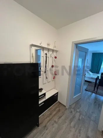 Pronájem bytu 1+kk, Brno, třída Generála Píky, 34 m2