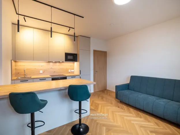 Pronájem bytu 2+kk, Brno - Staré Brno, Ghegova, 51 m2