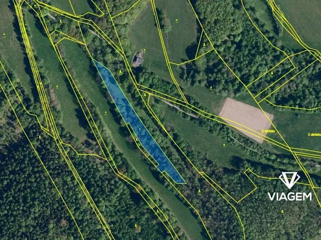 Prodej pole, Janov, 4632 m2