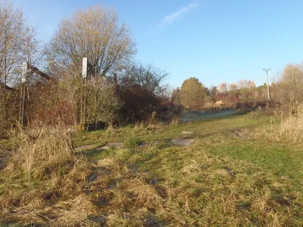 Prodej louky, Kosmonosy, 8401 m2