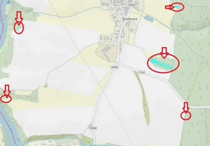 Prodej lesa, Chrášťany, 11900 m2