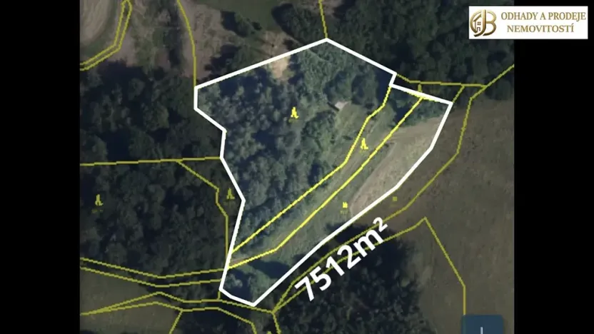 Prodej louky, Dlouhomilov, 7512 m2