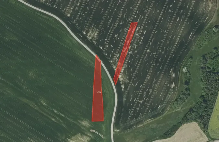 Prodej pole, Radošovice, 2863 m2