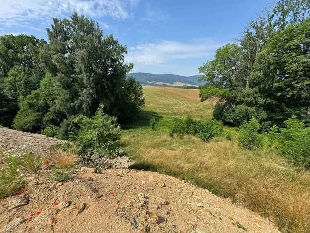 Prodej pozemku pro bydlení, Dlouhý Most, 4689 m2