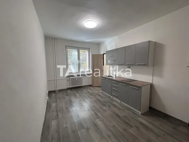 Pronájem bytu 1+kk, Třinec, Palackého, 24 m2