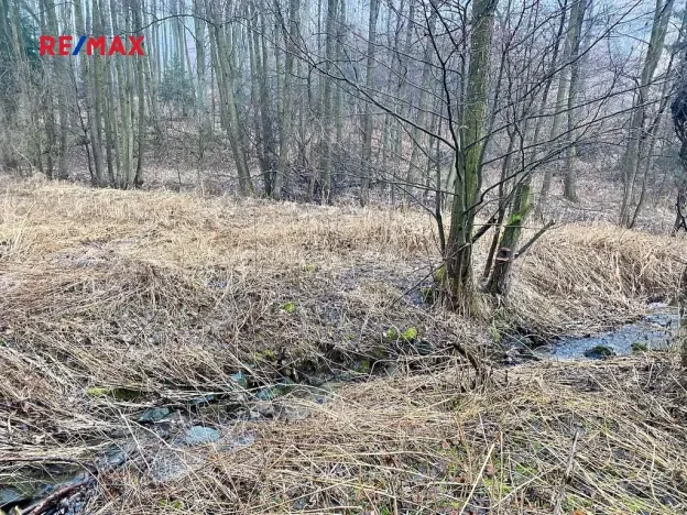 Prodej pozemku, Ondřejov, 8264 m2