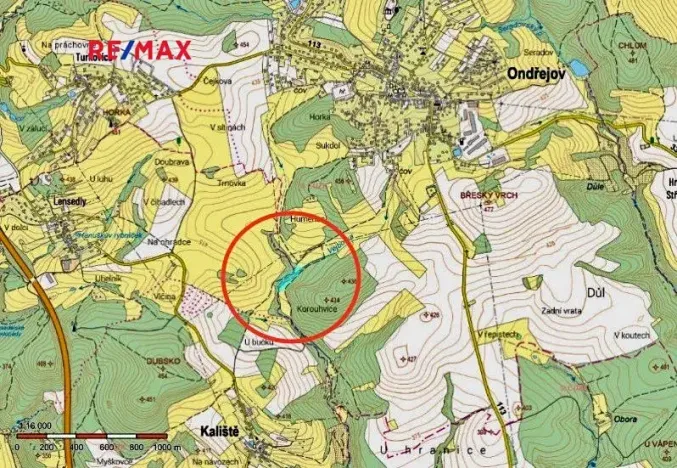 Prodej rybníku, Ondřejov, 8264 m2