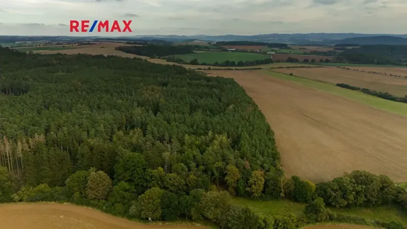 Prodej lesa, Všehrdy, 35057 m2