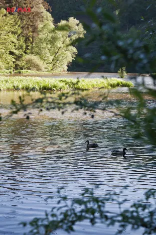 Prodej chaty, Plasy, 26 m2