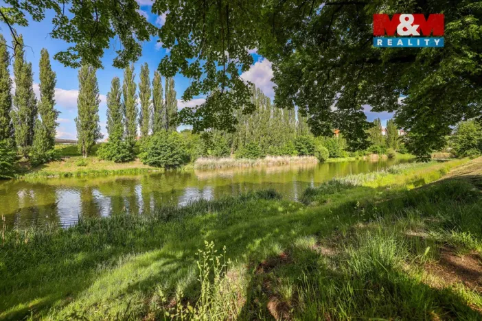 Pronájem bytu 1+kk, Plzeň - Jižní Předměstí, U Radbuzy, 29 m2