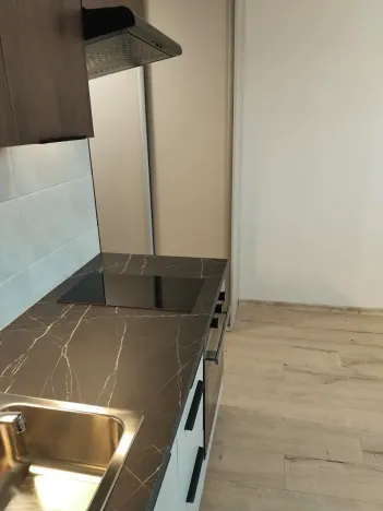 Pronájem bytu 1+kk, Plzeň, Skupova, 20 m2