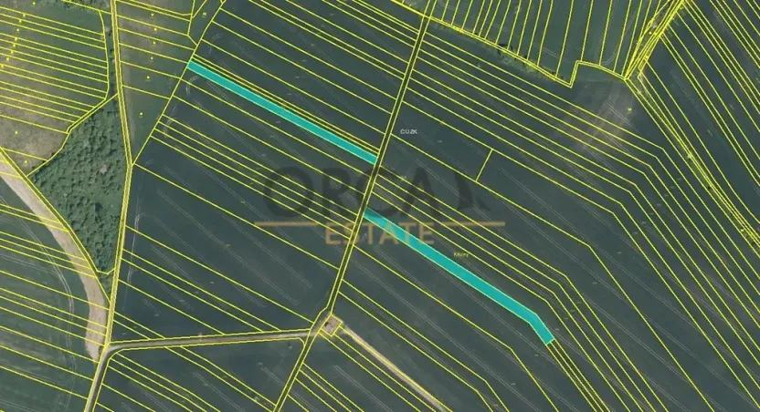 Prodej pole, Koryčany, 4164 m2