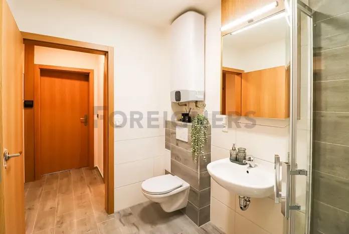 Pronájem bytu 1+kk, Brno, Cyrilská, 46 m2