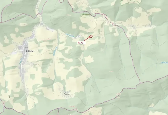 Dražba lesa, Zděchov, 216 m2