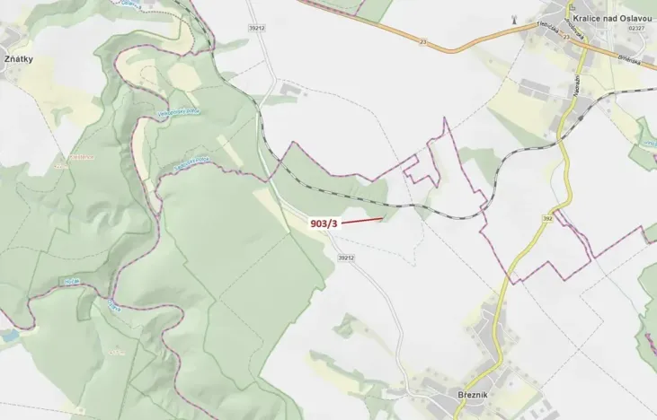 Dražba lesa, Březník, 234 m2