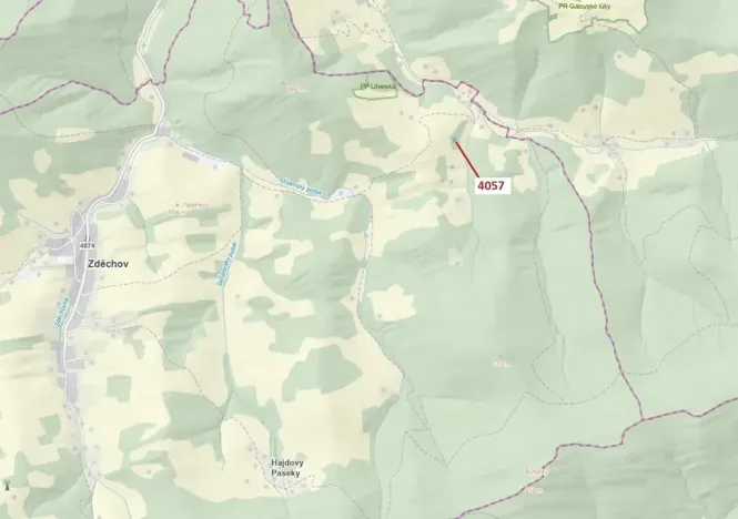 Dražba lesa, Zděchov, 435 m2